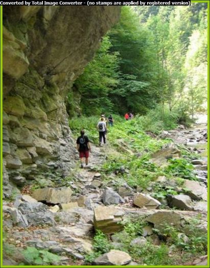 Prin Cheile Tisitei - OBIECTIVE TURISTICE DIN VRANCEA