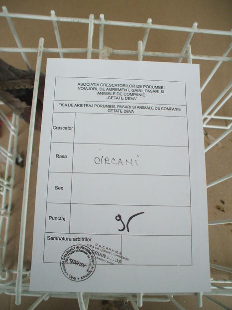  - EXPOZITIA ZONALA a Asociatiei CETATE DEVA - 21 02 2016