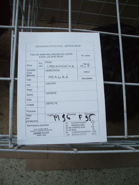  - EXPOZITIA ZONALA a Asociatiei CETATE DEVA - 21 02 2016