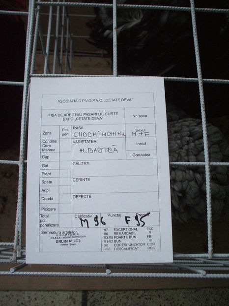  - EXPOZITIA ZONALA a Asociatiei CETATE DEVA - 21 02 2016