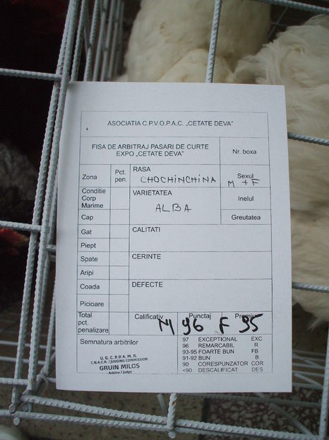  - EXPOZITIA ZONALA a Asociatiei CETATE DEVA - 21 02 2016