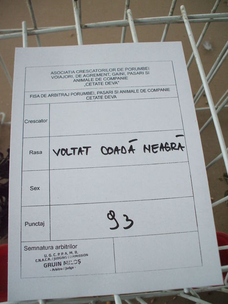  - EXPOZITIA ZONALA a Asociatiei CETATE DEVA - 21 02 2016