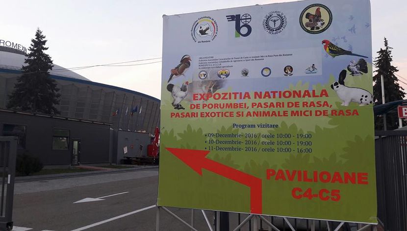 15338662_1392132490810552_902918615106075632_n - E xpozitia Nationala Bucuresti 2016