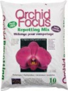 orchid-10l_184x138