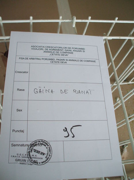  - EXPOZITIA ZONALA a Asociatiei CETATE DEVA - 21 02 2016