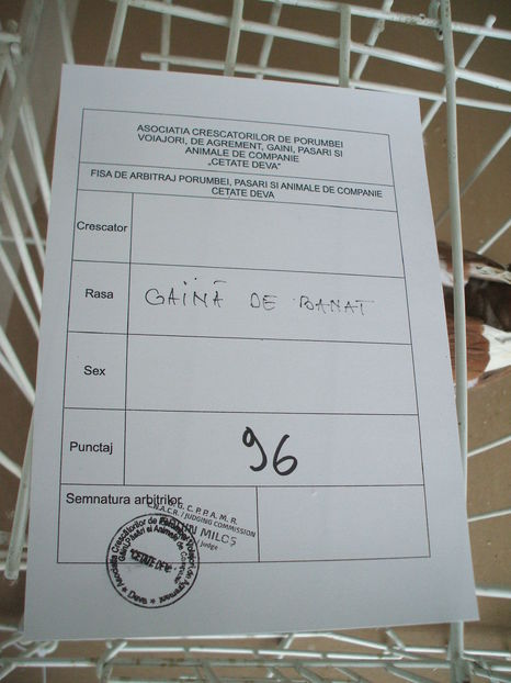  - EXPOZITIA ZONALA a Asociatiei CETATE DEVA - 21 02 2016