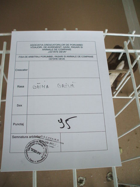  - EXPOZITIA ZONALA a Asociatiei CETATE DEVA - 21 02 2016