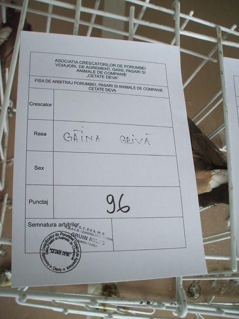  - EXPOZITIA ZONALA a Asociatiei CETATE DEVA - 21 02 2016