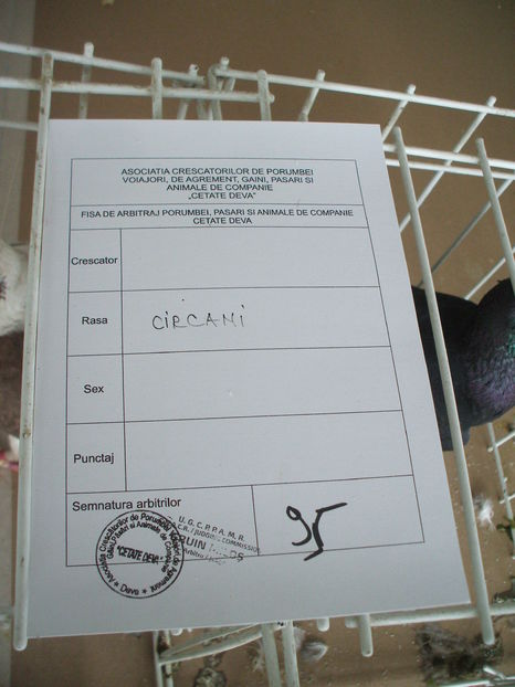  - EXPOZITIA ZONALA a Asociatiei CETATE DEVA - 21 02 2016