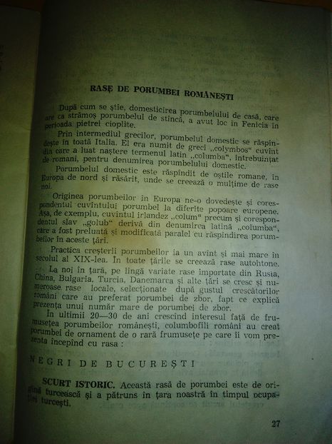 descriere 1979 - Negri trenati de Bucuresti