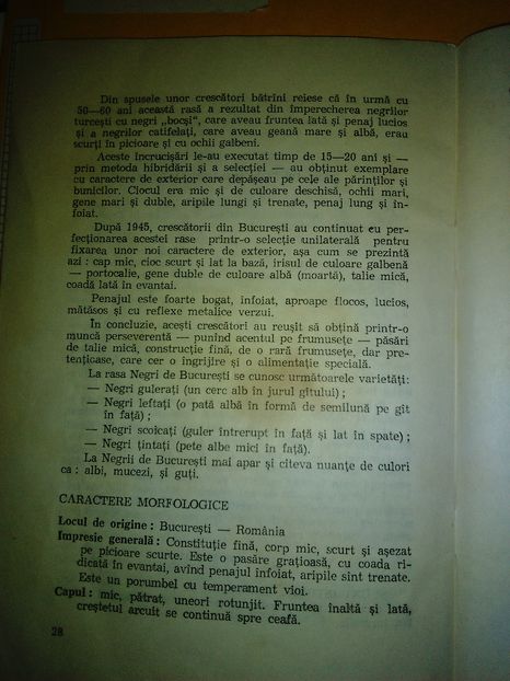 1979 - Negri trenati de Bucuresti