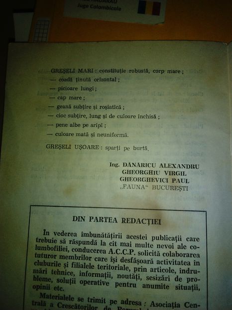 1979-4 - Negri trenati de Bucuresti
