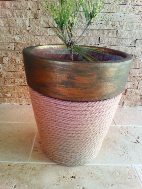  - plantutele mele