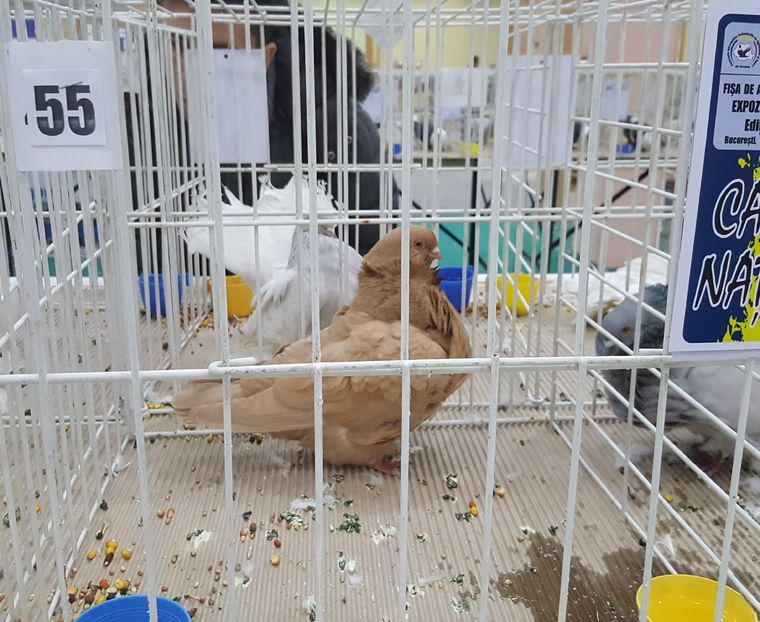 2016-12-09 12.09.41 (2)