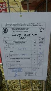 95.5 -p Expo.Nationala Bucuresti 2016!!!