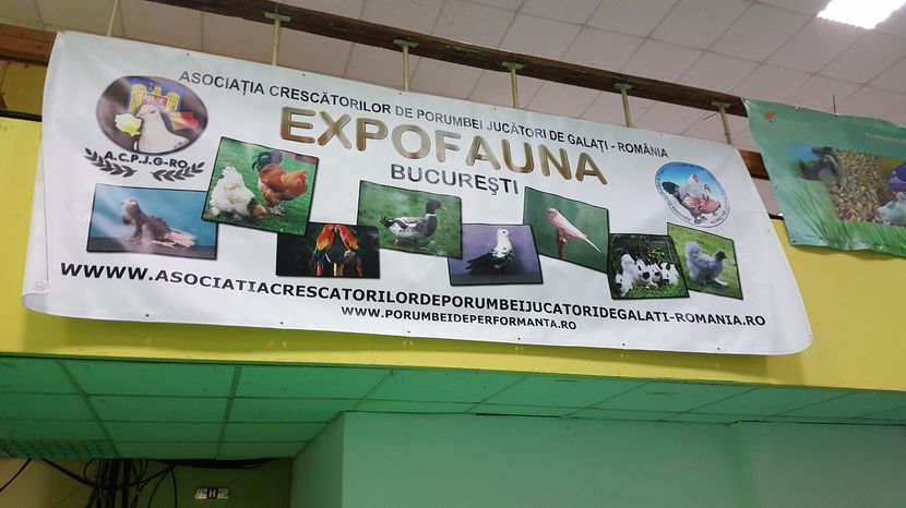  - 35____EXPOZITIA LA BUCURESTI-2016