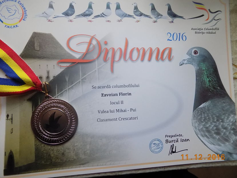 2016 - Diplome