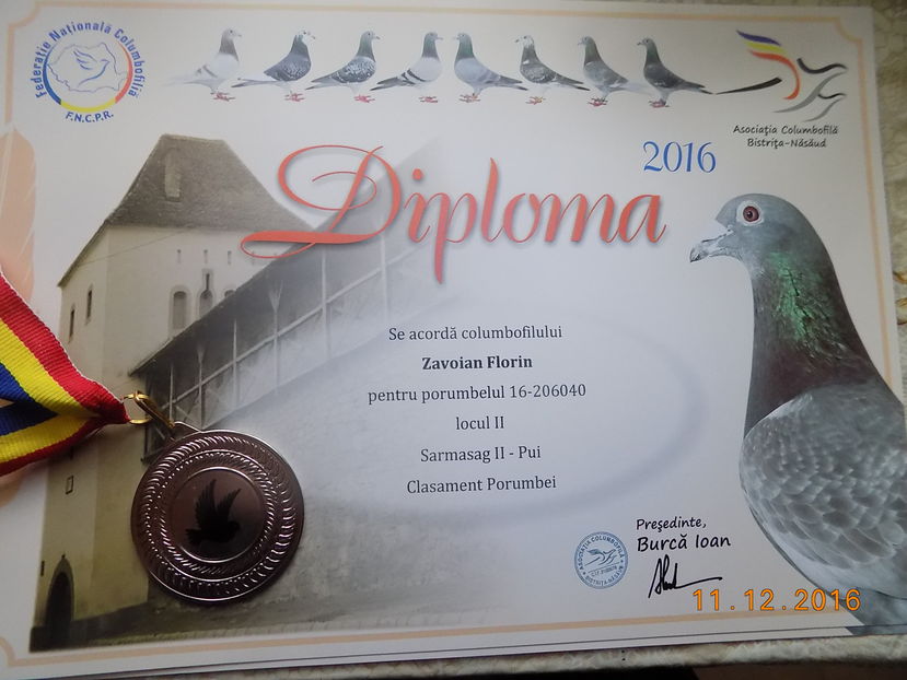 2016 - Diplome