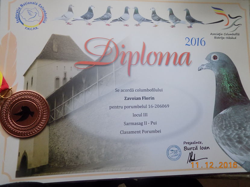 2016 - Diplome