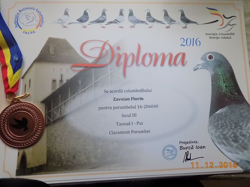 2016 - Diplome