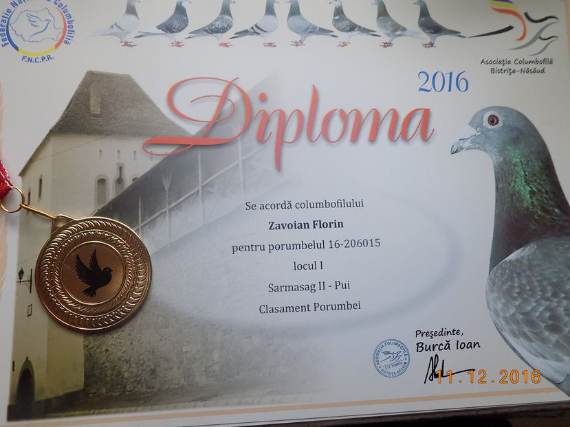 2016 - Diplome