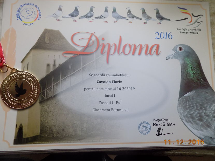 2016 - Diplome