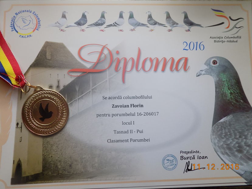 2016 - Diplome