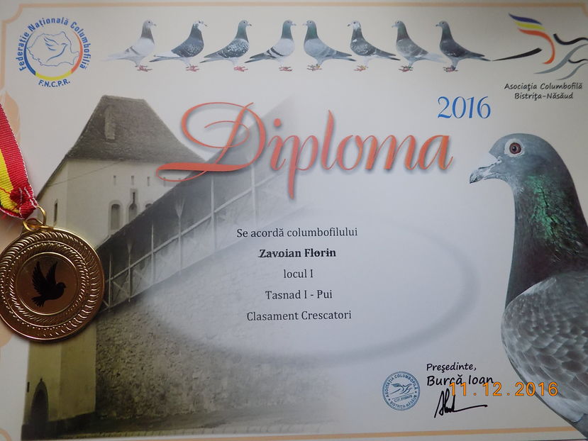 2016 - Diplome