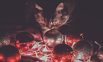 DΛY 27 - 11 DΣᄃΣMBΣЯ 2016