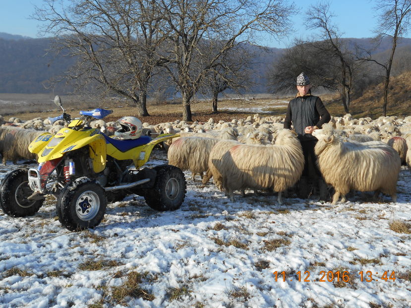 Picture 083 - Balele 2016-2017