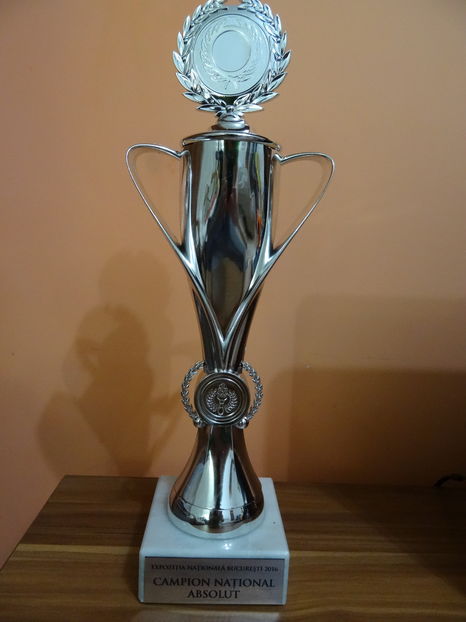 CAMPION  NAT. ABSOLUT 2016