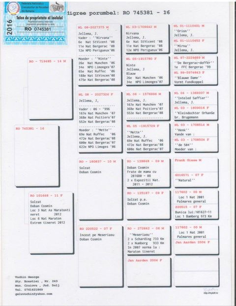 PEDIGREE - porumbei