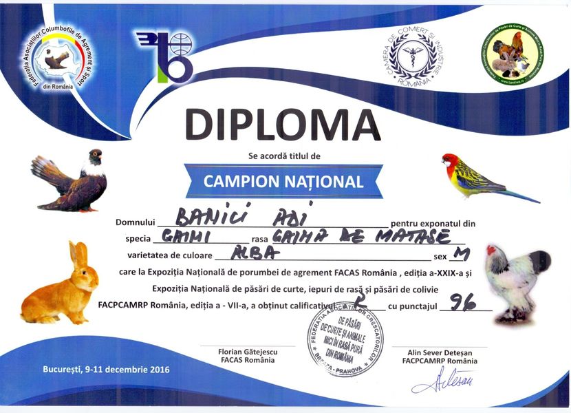 Campion National 2016 Mascul - DIPLOME SI MEDALII