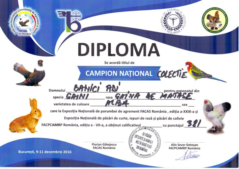Campion National Colectie - DIPLOME SI MEDALII