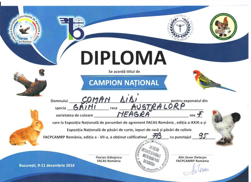 Campion National 2016 - 04 Cupe si diplome obtinute