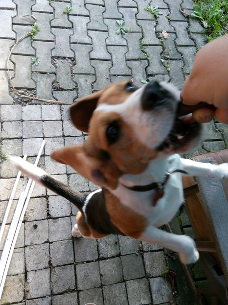 Ce nu facem pentru o gustare