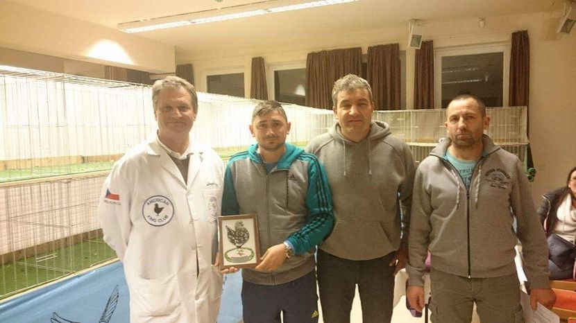 Magyar king klub  champion alfold kupa 2016