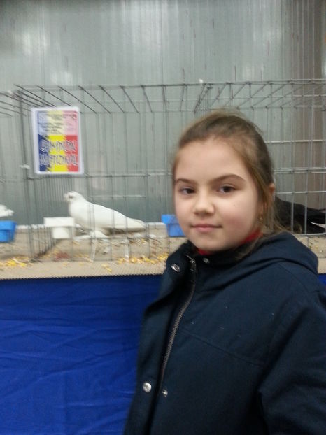 campionul meu uzbeck - Expozitia Nationala Bucuresti 2016