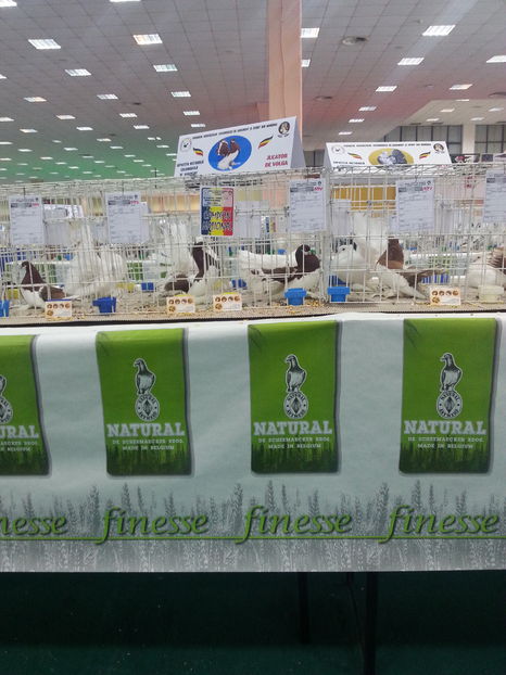  - Expozitia Nationala Bucuresti 2016