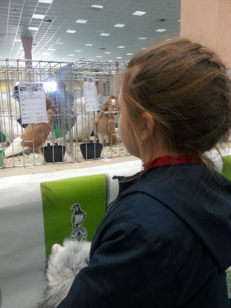  - Expozitia Nationala Bucuresti 2016