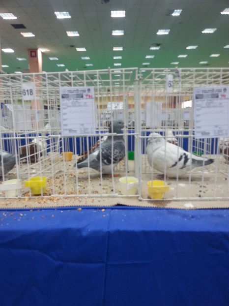  - Expozitia Nationala Bucuresti 2016