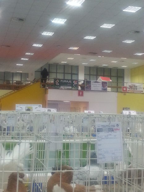  - Expozitia Nationala Bucuresti 2016