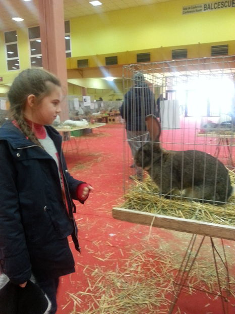  - Expozitia Nationala Bucuresti 2016