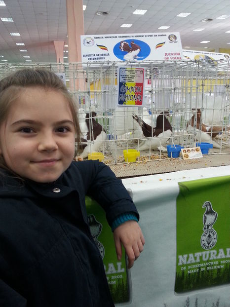  - Expozitia Nationala Bucuresti 2016