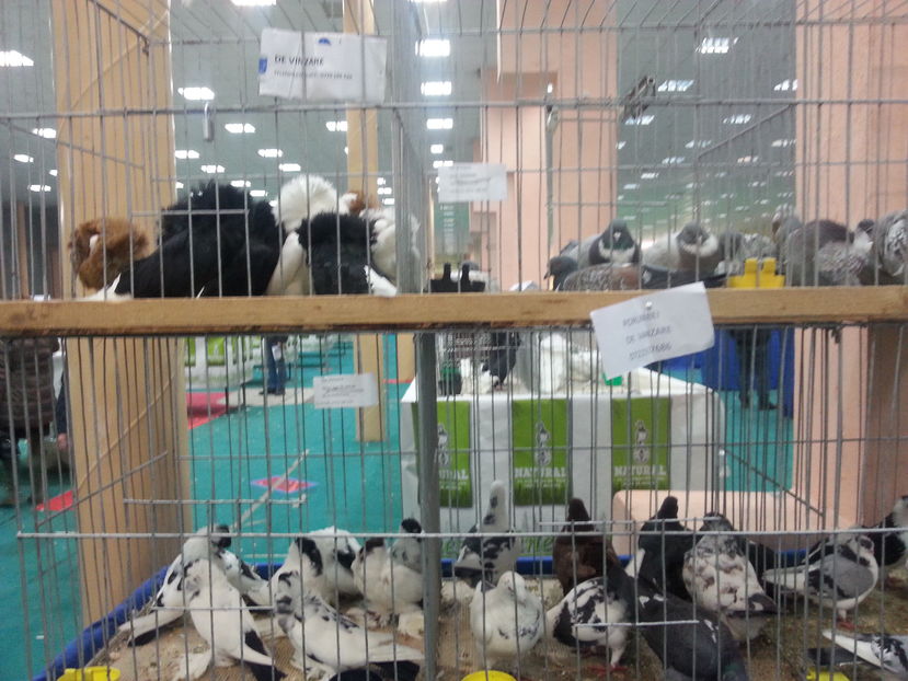  - Expozitia Nationala Bucuresti 2016