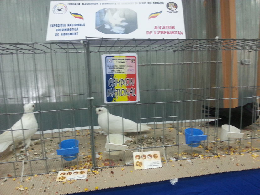  - Expozitia Nationala Bucuresti 2016