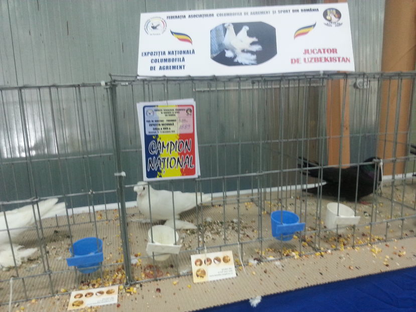  - Expozitia Nationala Bucuresti 2016