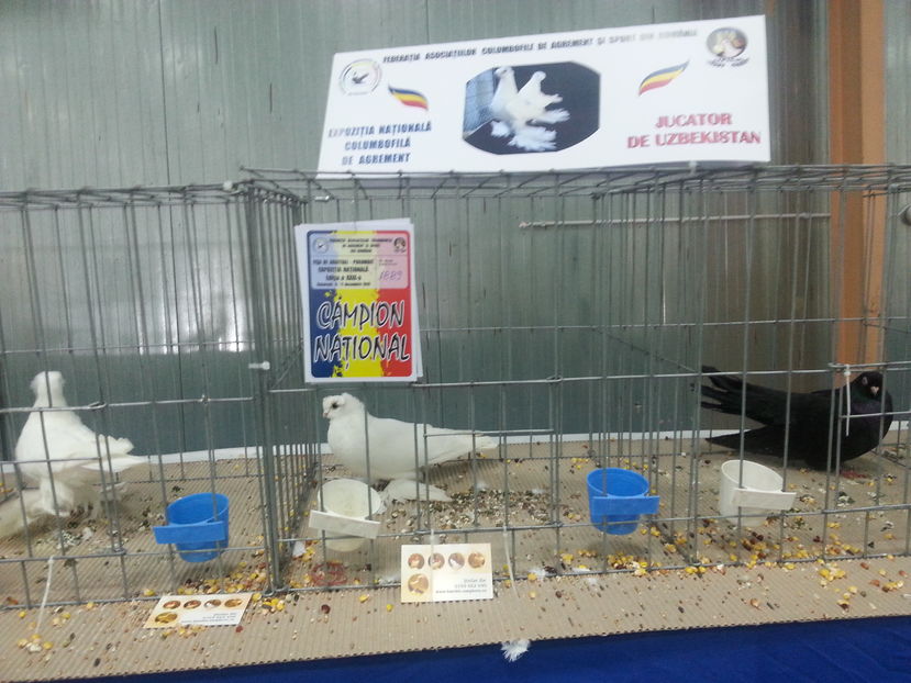  - Expozitia Nationala Bucuresti 2016