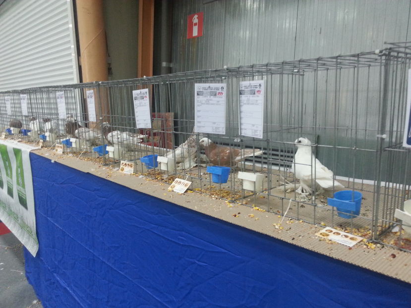  - Expozitia Nationala Bucuresti 2016