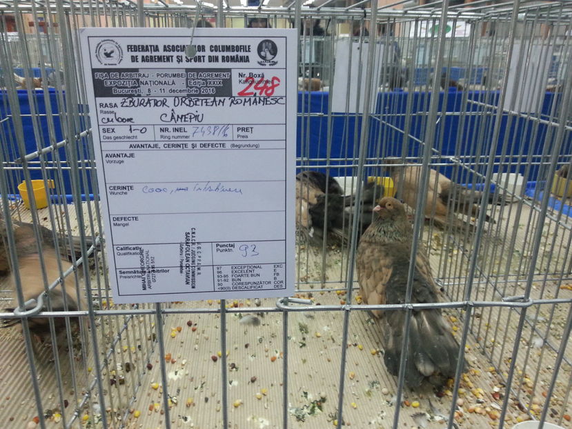  - Expozitia Nationala Bucuresti 2016